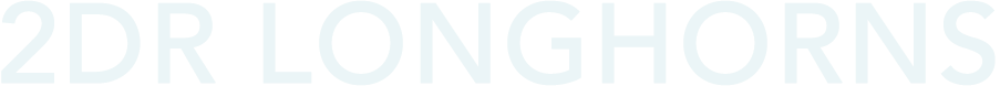 2DR Longhorns logo